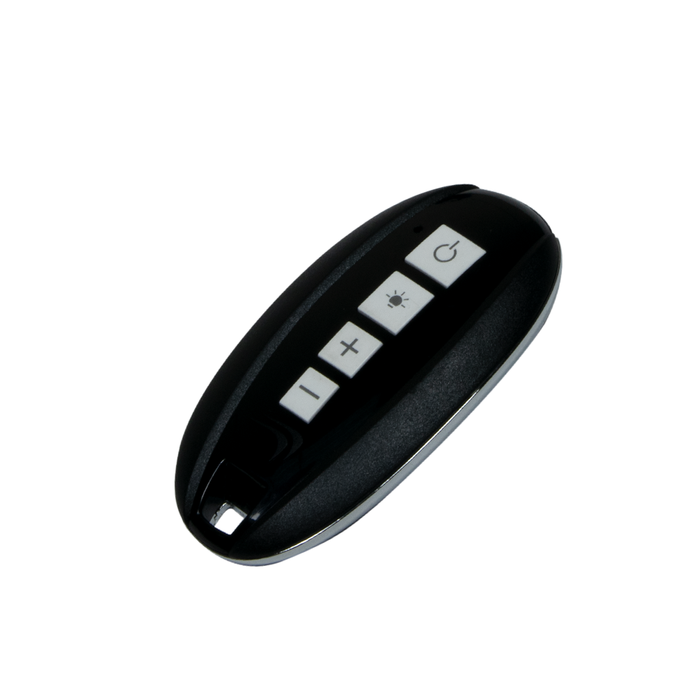 Remote Control Fob 5