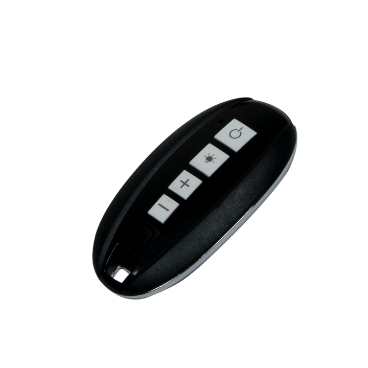 Remote Control Fob 5