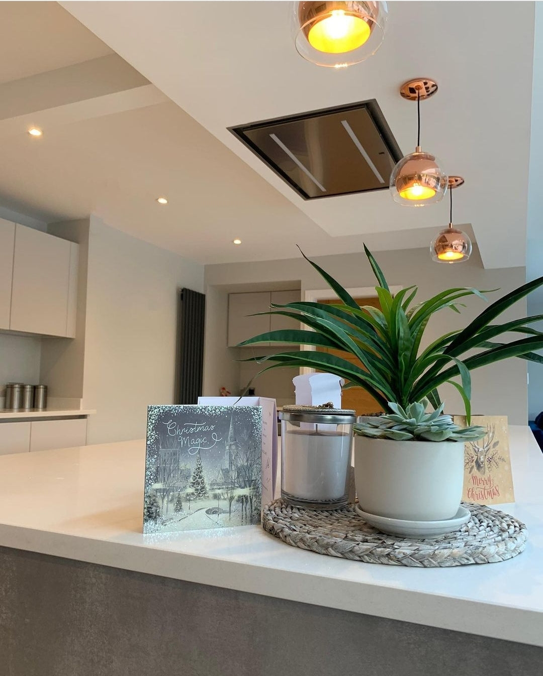 Celux - Ceiling Cooker Hood - Options